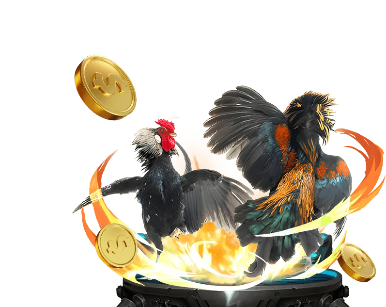 Chiến lược cá cược đá gà thông minh